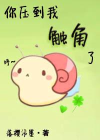 你压到我触的角了