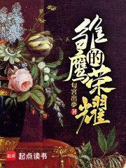 雏鹰的荣耀txt电子书