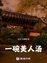 一碗美人汤讲的啥