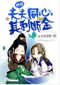 夫夫同心其利断金好看吗