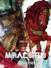 从三国开始的