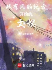 从有风的地方开始的文娱篱笆好