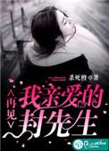 再见我亲爱的封先生txt