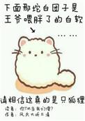 你尾巴戳到我了剧透
