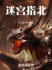 迷宫之柄