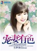 宠妻有理全文阅读