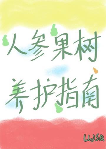 人参果树种植条件和方法