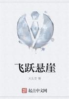 飞到悬崖边