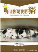 听说你是我的猫资源