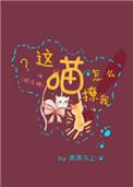 这猫怎么撩我全文阅读