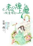 限量宠婚老公别太坏免费