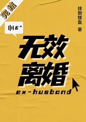 无效离婚by半岛铁盒