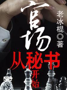 从政官场