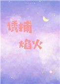 诱捕焰火[娱乐圈