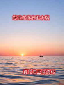综武之锦衣卫小旗丁伟
