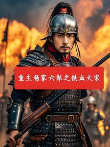 铁血杨家将84版