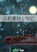 心机寡妇上位记 作者某翁