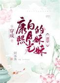 穿成康熙白月光的妹妹清穿映微