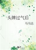 头牌过气后马马达txt