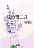 嫁给理工男讲了什么