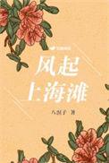 风起上海滩在线播放免费观看