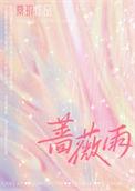 蔷薇雨01集电视剧免费播放
