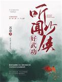 少侠好功夫多少集