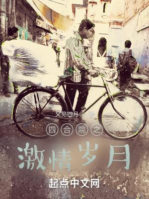 四合院激情岁月里的别样人生笔趣阁