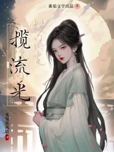 揽流光百度