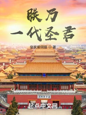 朕乃一代圣君正版阅读