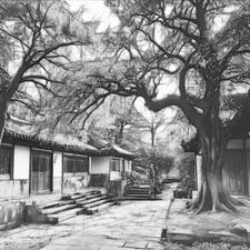 账房先生礼单图片2023