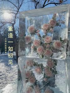 相逢如初见回首是一生啥意思