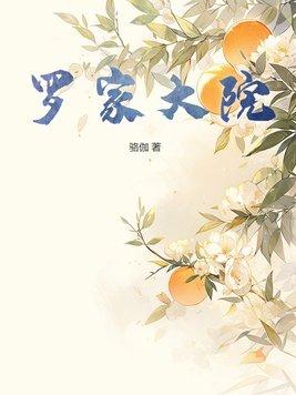 罗家大院攻略