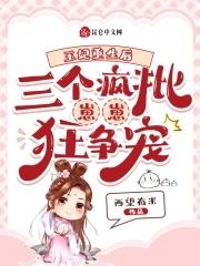 三个王妃和一个王爷