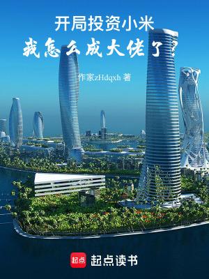 开局投资小米我怎么成大佬了创世中文网