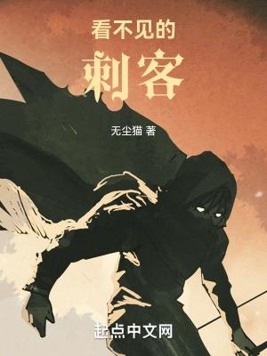 看不见的客人恐怖么