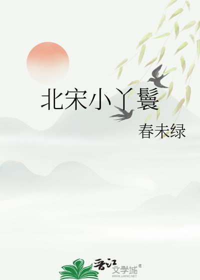 北宋小丫鬟讲的什么故事