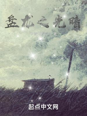 盘龙之光暗之灵