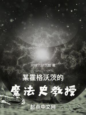 某霍格沃茨的魔文教授 优书