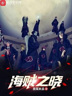 海贼王之晓组织系统