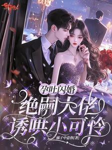章节孕吐