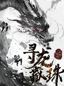 寻龙藏珠txt