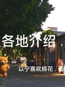 各地介绍软件
