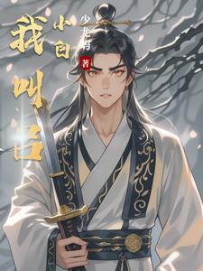 主角叫吕小布的