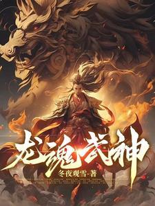 龙魂刀和凤血剑是什么电视剧
