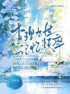 查理九世介绍