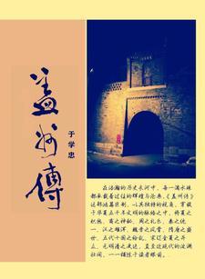 盖州传义建设公司是国企还是私企