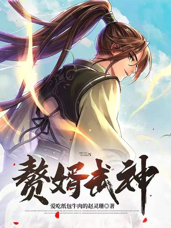 赘婿武神陆风