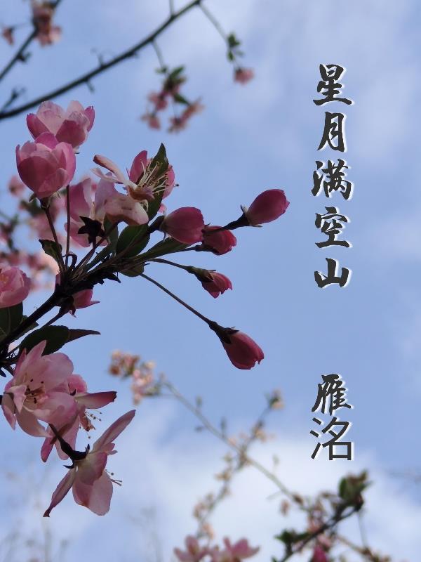星空满月图
