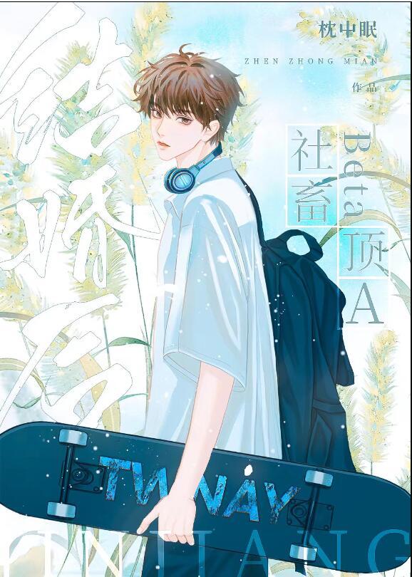 社畜beta和顶A结婚后by 枕中眠
